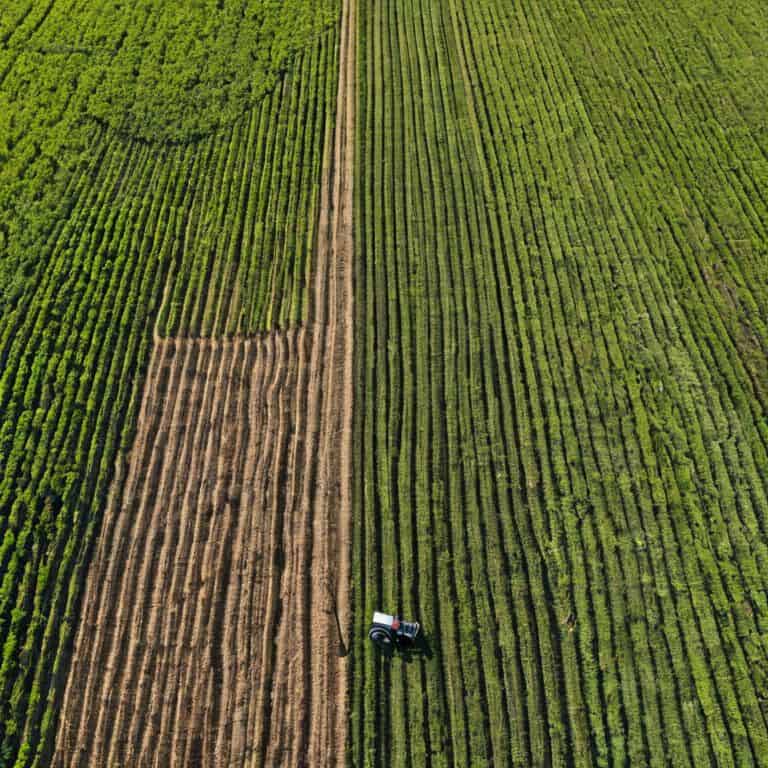 Tech Drives Farming Shift